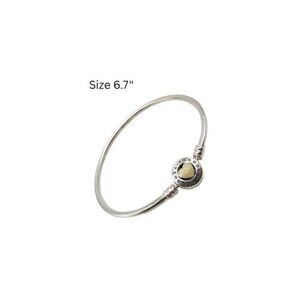 Pandora Bangle Charm Bracelet You Are So Loved Loving Heart 6.7" 590746EN23